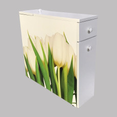 Універсальна тумба МДФ Tulip 20х54х63 см Універсальна тумба МДФ Tulip 20х54х63 см