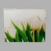 Універсальна тумба МДФ Tulip 20х54х63 см Універсальна тумба МДФ Tulip 20х54х63 см